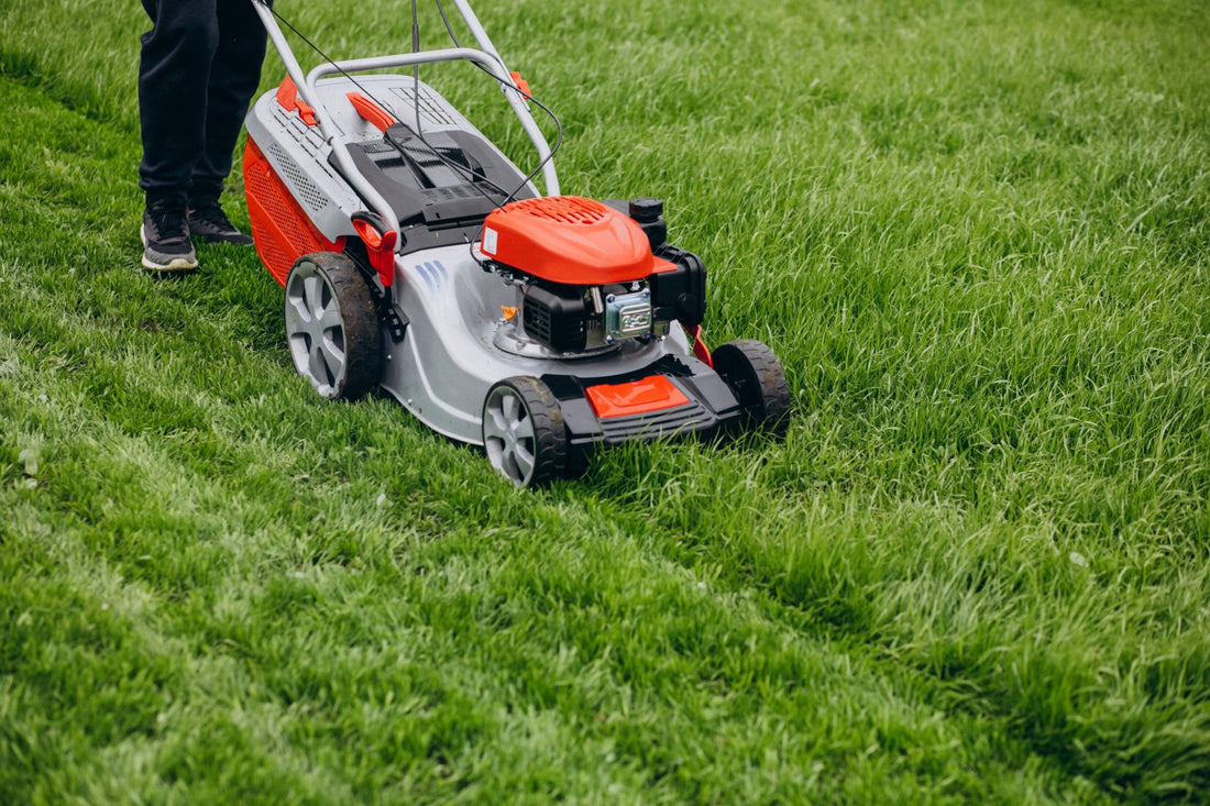 7 Lawn Mower Safety Tips