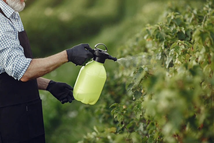 Types of Herbicides